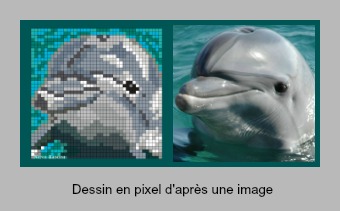 PicCollagedauphin.jpg